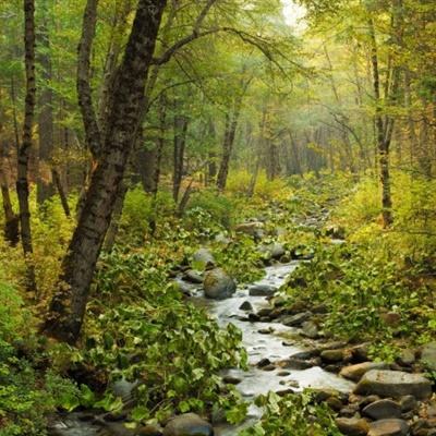 江南娱乐app官网下载官方入口