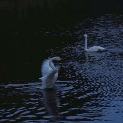 ayx在线登录入口手机app下载