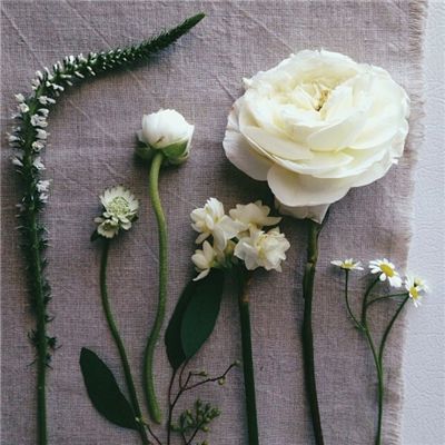 ayx爱游戏app下载